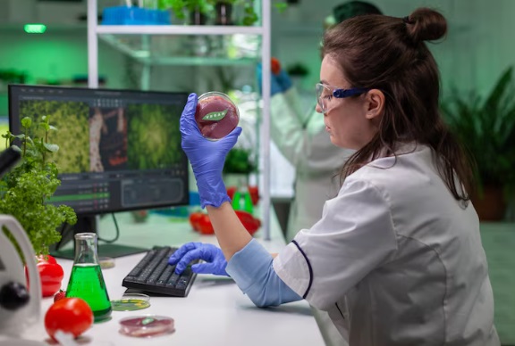 Biotechnology Research: Innovating for Health and Sustainability