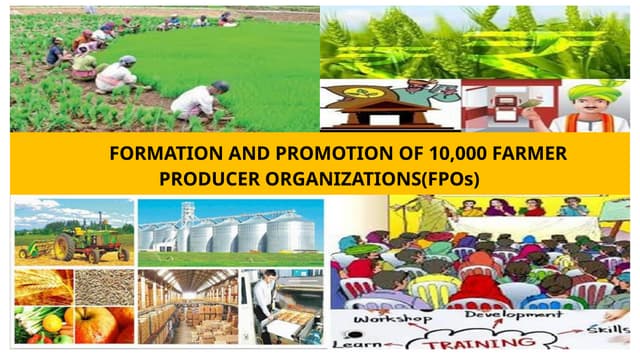 Farmer Producer Organizations (FPO) Awareness and Development