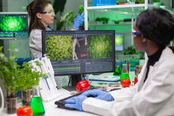 Advancing Sustainable Agriculture Through Innovative Research