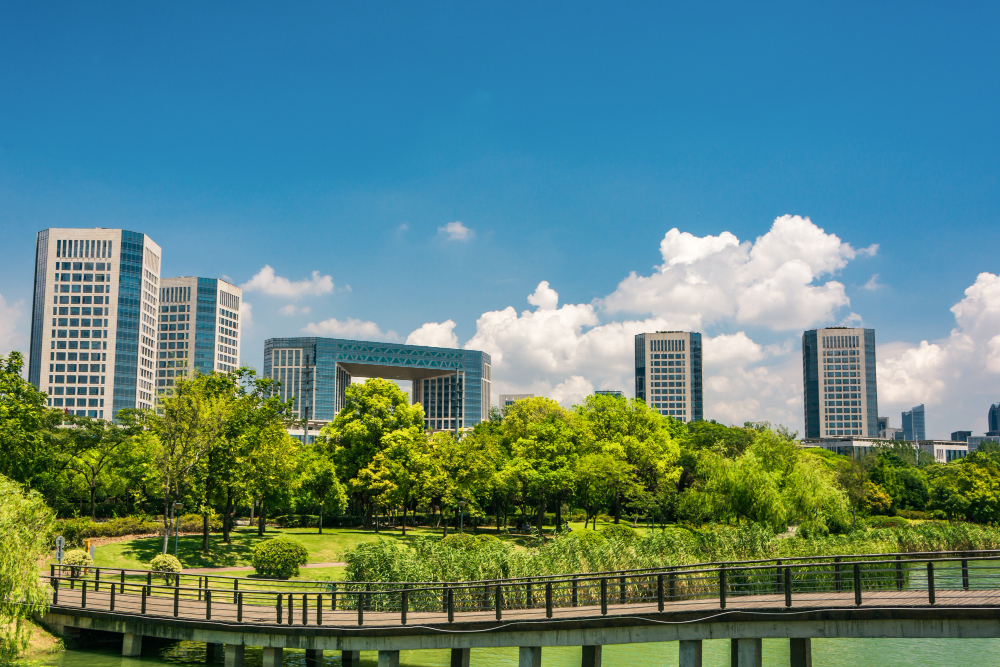 Course Gallery Image